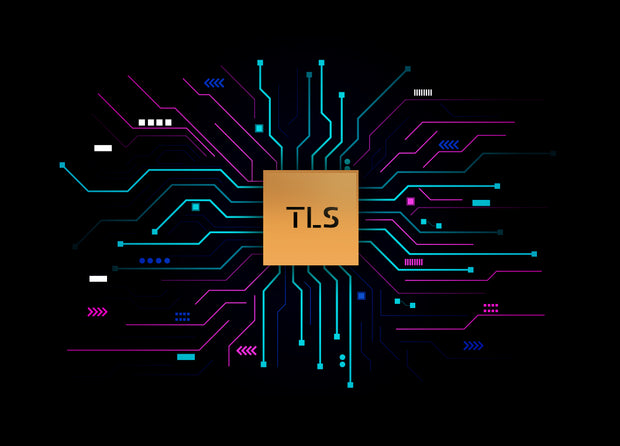 <h2><strong>16 Unique Programs</strong></h2>